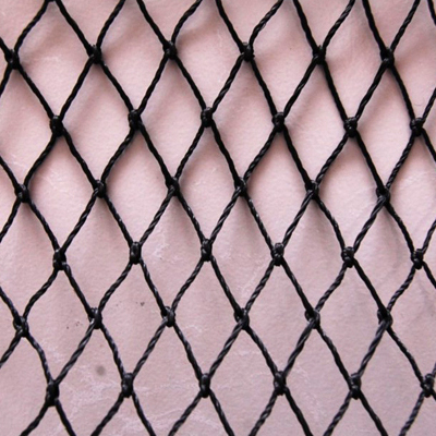 Fishing Net