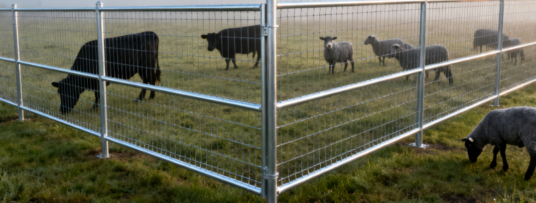 Future-Ready Security: Wire Mesh Fencing with Concrete-Embedded Anchor Posts