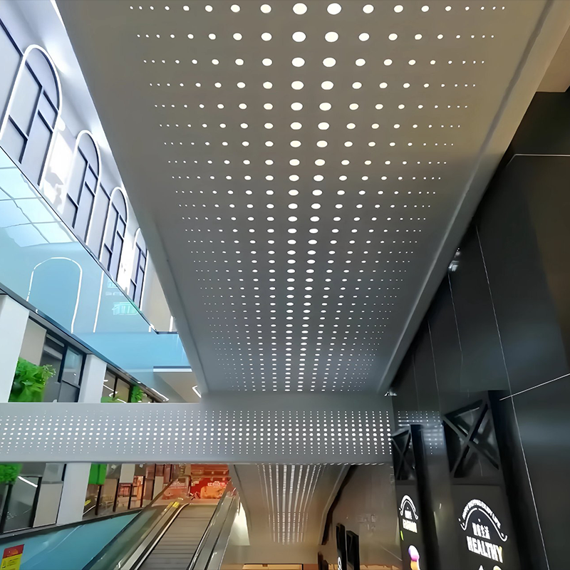 Perforated Metal Partition Panel