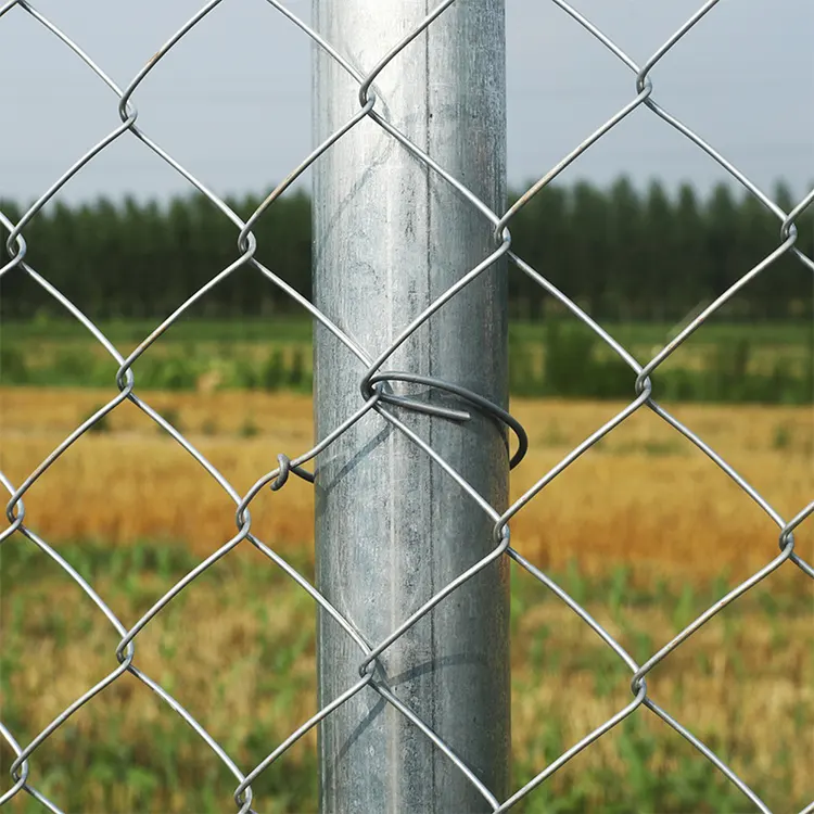Picket Fence