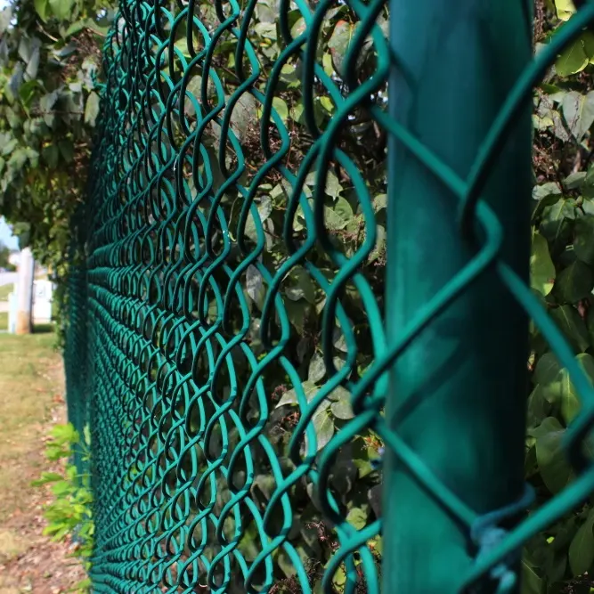Picket Fence