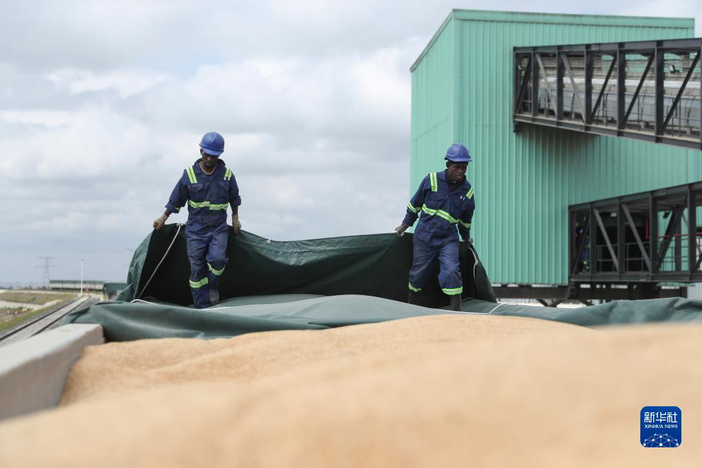 蒙内铁路运营5周年——货运促进肯尼亚及其他东非国家经贸往来