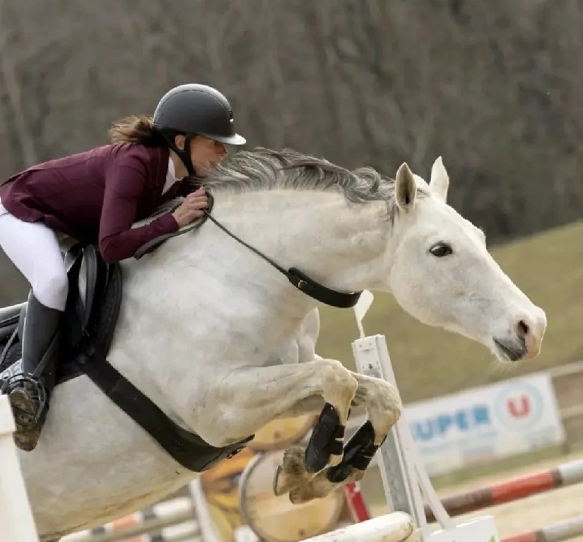 When the Bridle Comes Off, Trust Speaks the Loudest