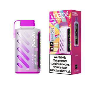 VOZOL GEAR POWER 20000 DISPOSABLE FEATURES: