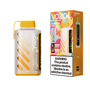 VOZOL GEAR POWER 20000 DISPOSABLE FEATURES: