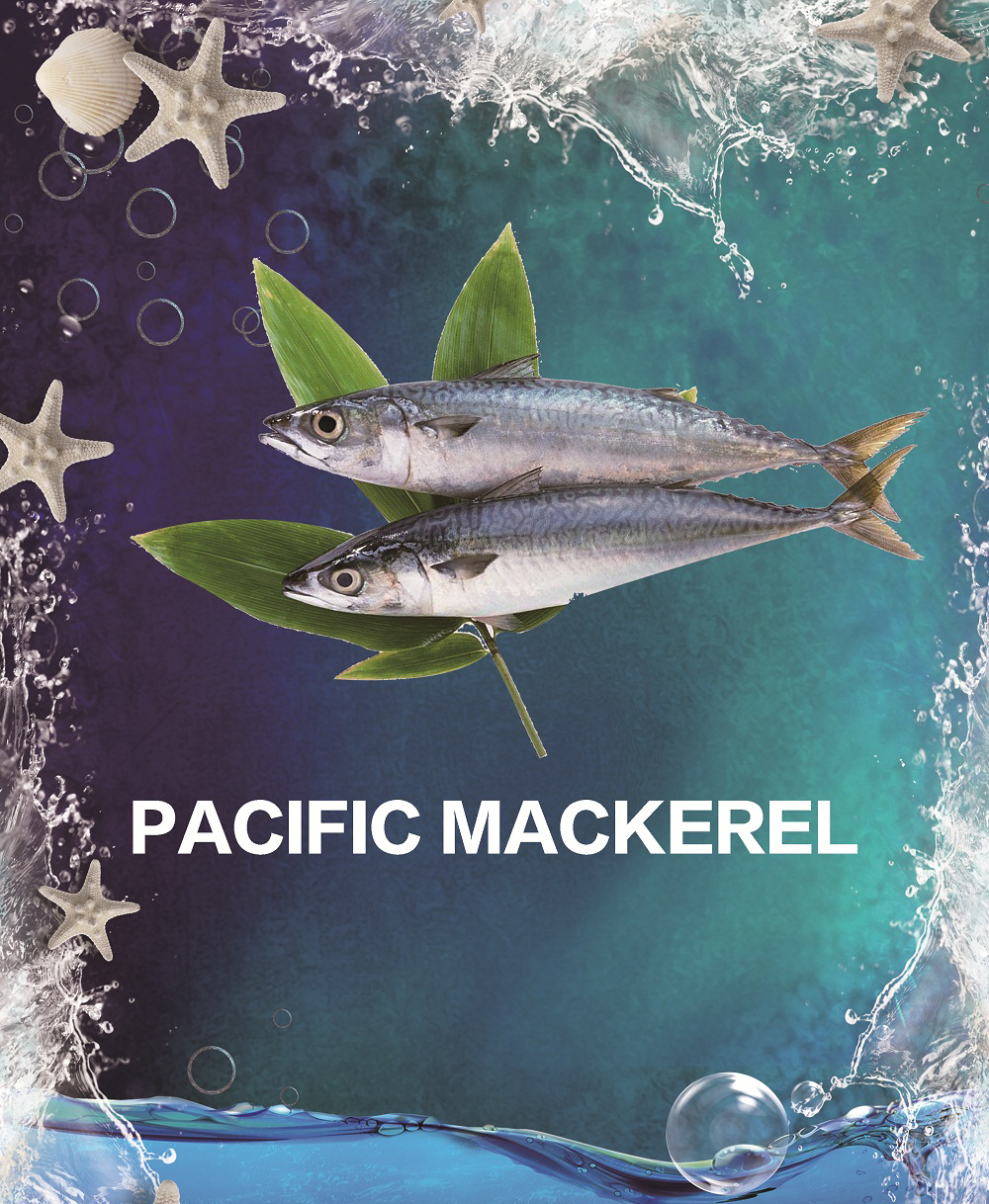 PACIFIC MACKEREL