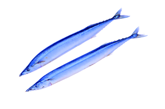 SAURY