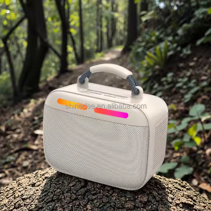 2025 Customized Super Bass  Wireless Microphone Outdoor Waterproof Speaker Subwoofer Uhf System Set for Karaoke Singing