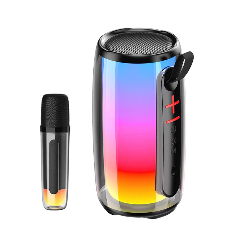 Portable speaker SP-6001