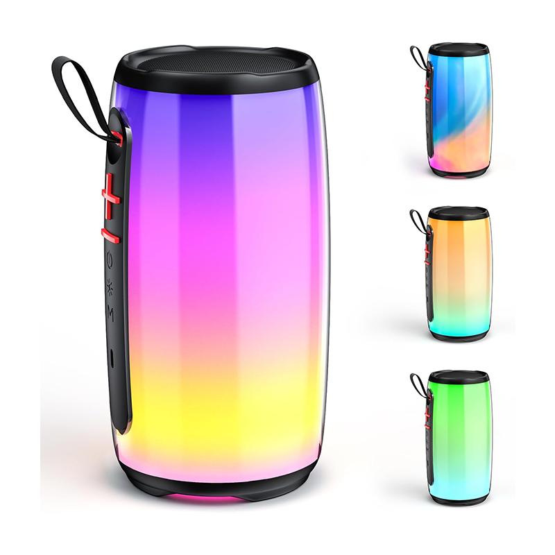 Portable speaker SP-6001