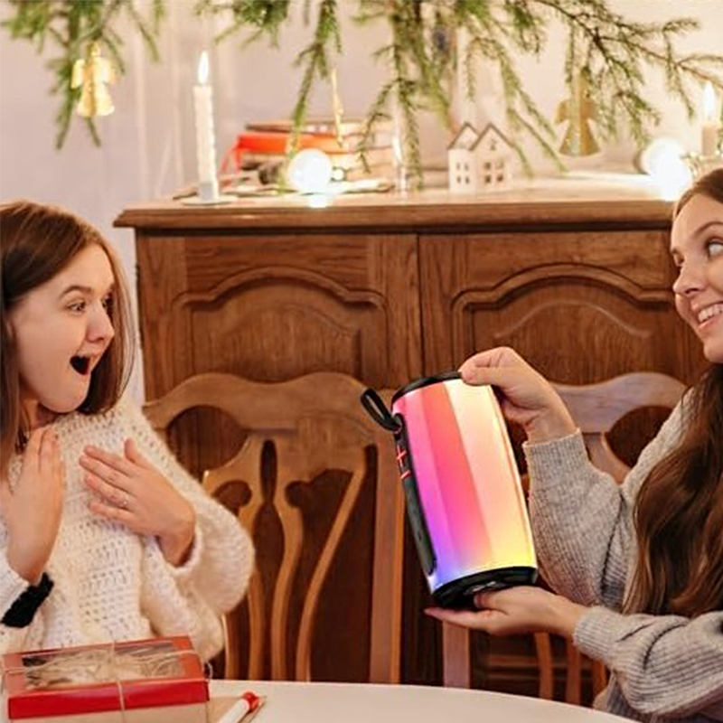 Portable speaker SP-6001