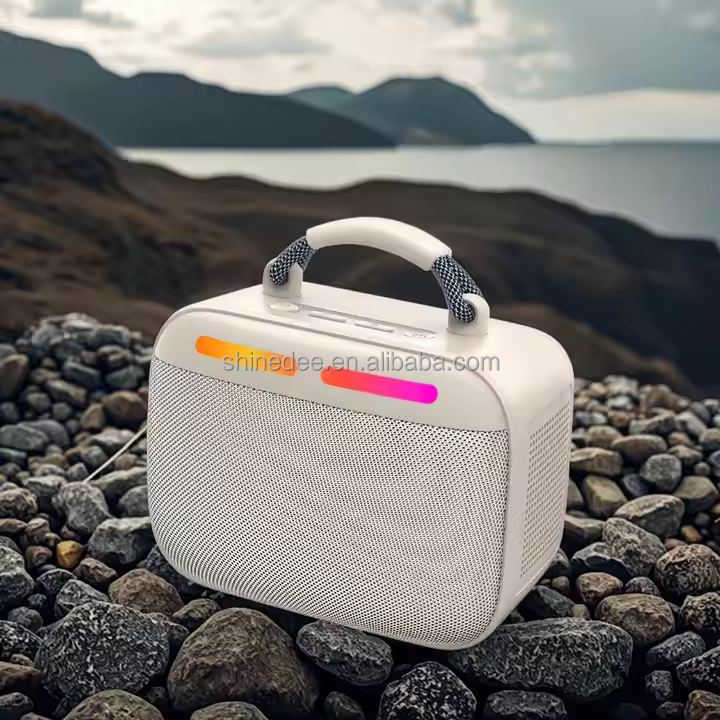 2025 Customized Super Bass  Wireless Microphone Outdoor Waterproof Speaker Subwoofer Uhf System Set for Karaoke Singing