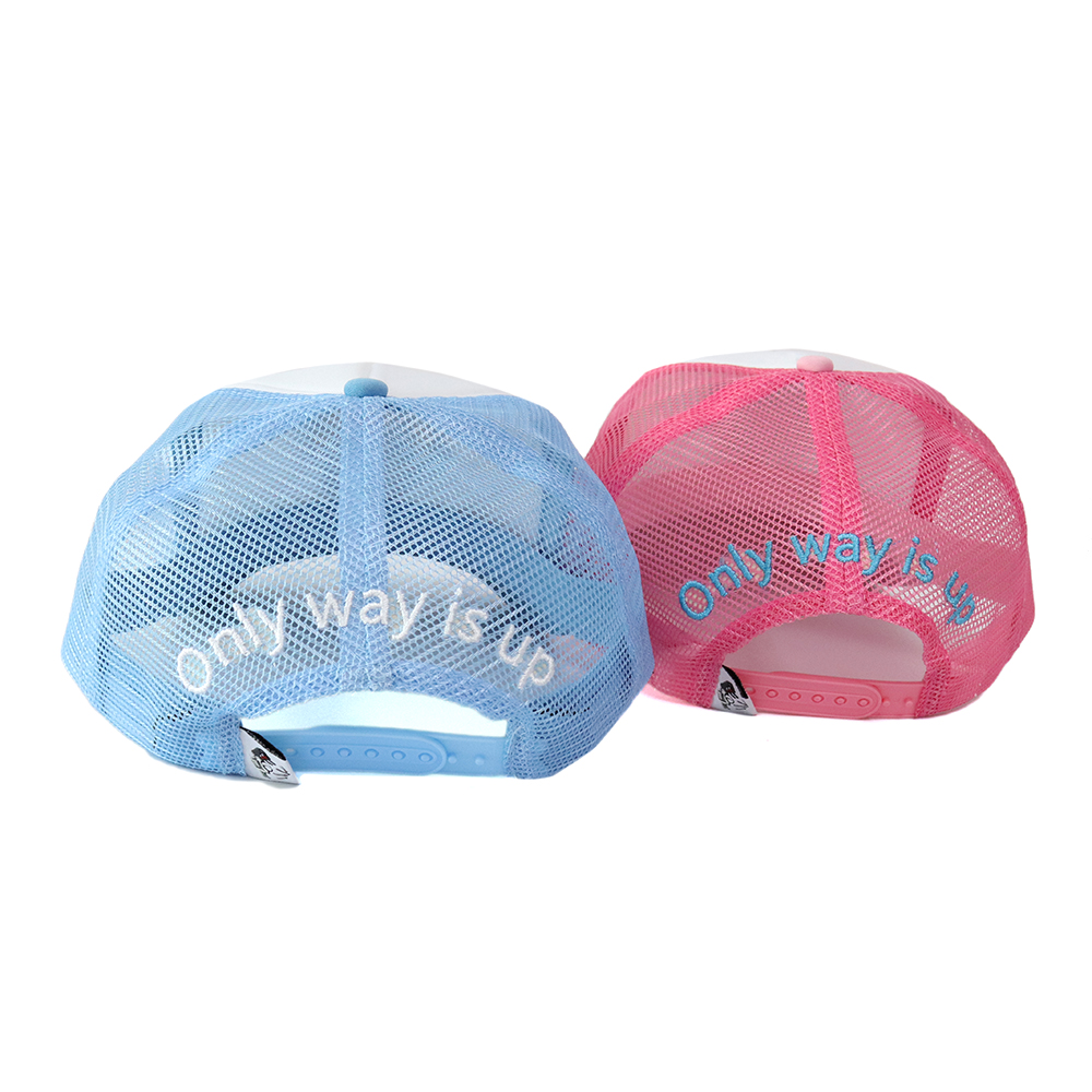 Pastel Blue and Pink Mesh Back 3D Logo Trucker Caps