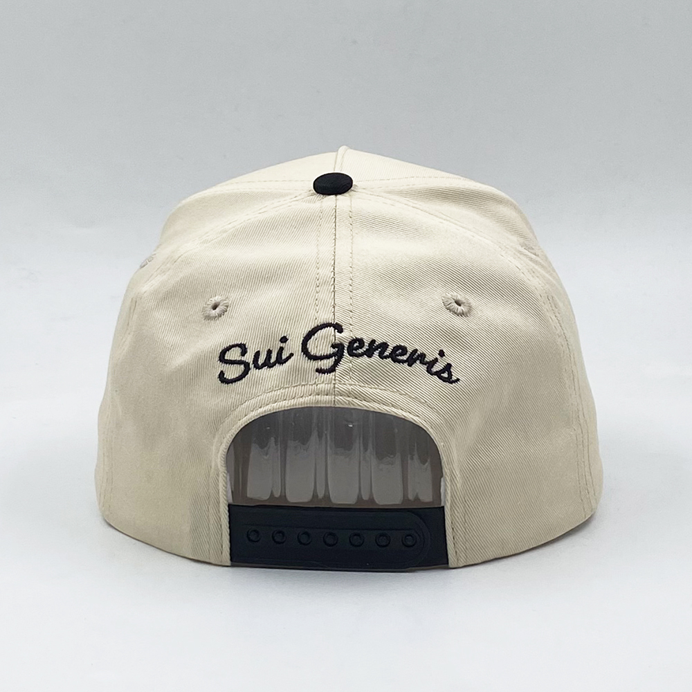 Two-Tone Cotton Twill Baseball Cap with Flat Embroidery Logo – 5 Panel Design