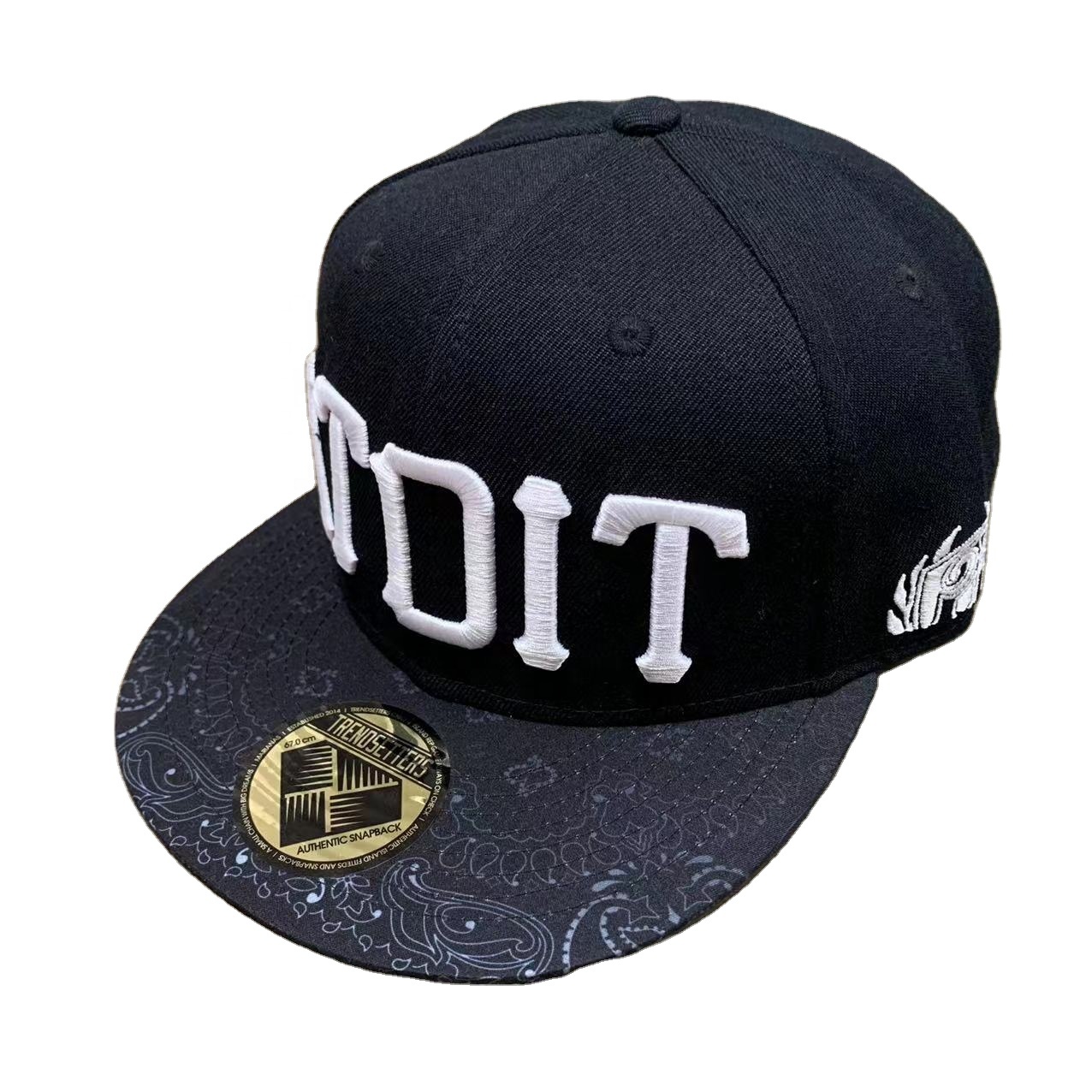 Black Snapback Hat with 3D Embroidered Lettering and Patterned Brim