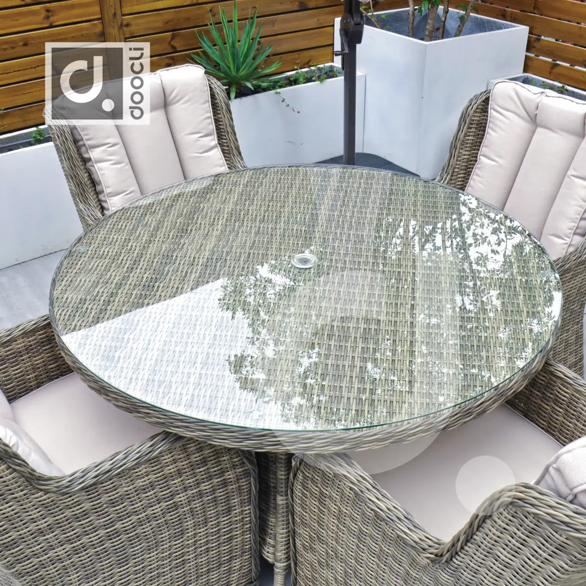 PARIS | BG3249DT.D120 | WK1003H | FB002