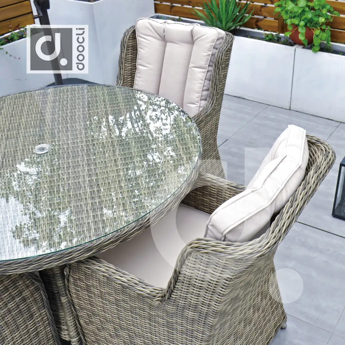 PARIS | BG3249DT.D120 | WK1003H | FB002