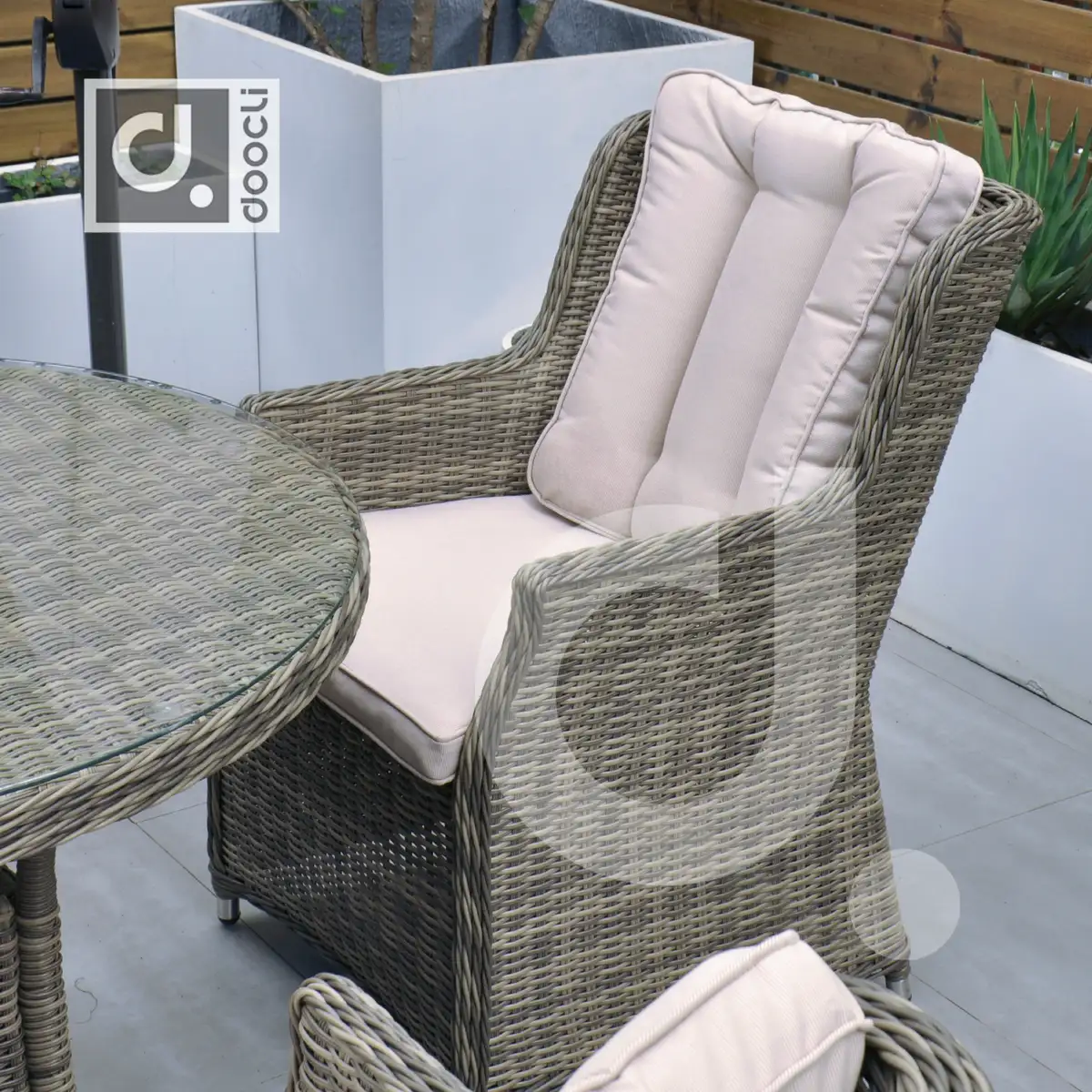 PARIS | BG3251DT.OV180 | WK1003H | FB002a