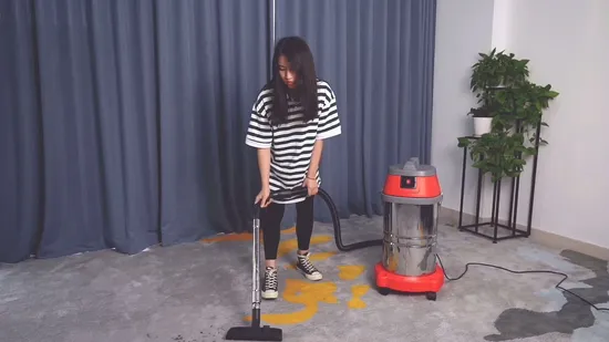 Powerful 2 Motors Wet & Dry Vacuum Cleaner for Industry Use 70L