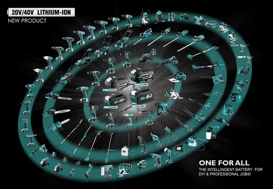 Cordless Home Appliances 20V Portable Wet and Dry Vacuum Cleaner