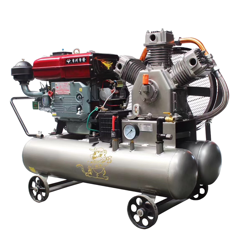 Diesel Engine Series