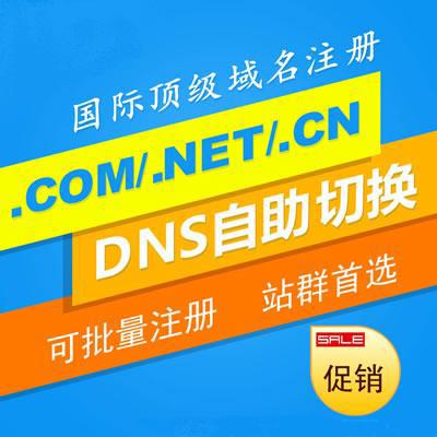 .COM/NET/CN等域名注册 国际域名注册 可直接解析即时生效 厂家直接注册 满10个送免备案空间 推荐学生分销