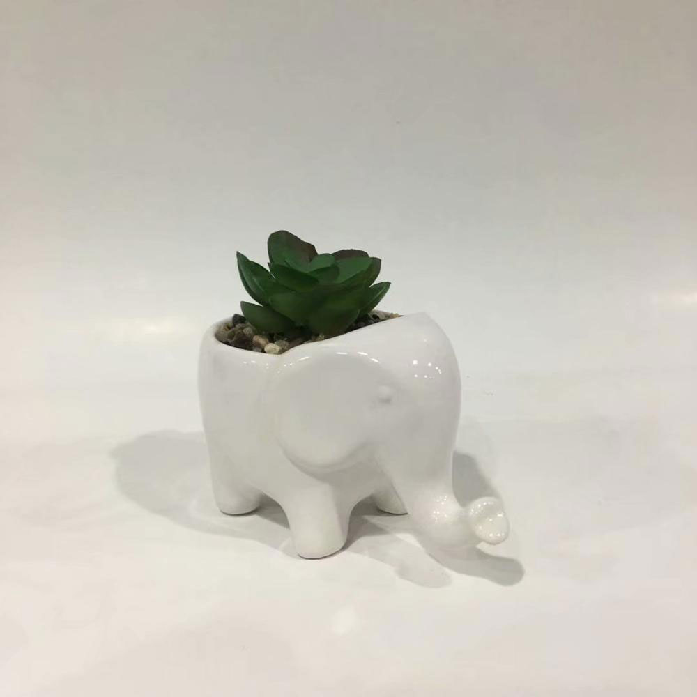 Ceramic animal elephant succulent pot