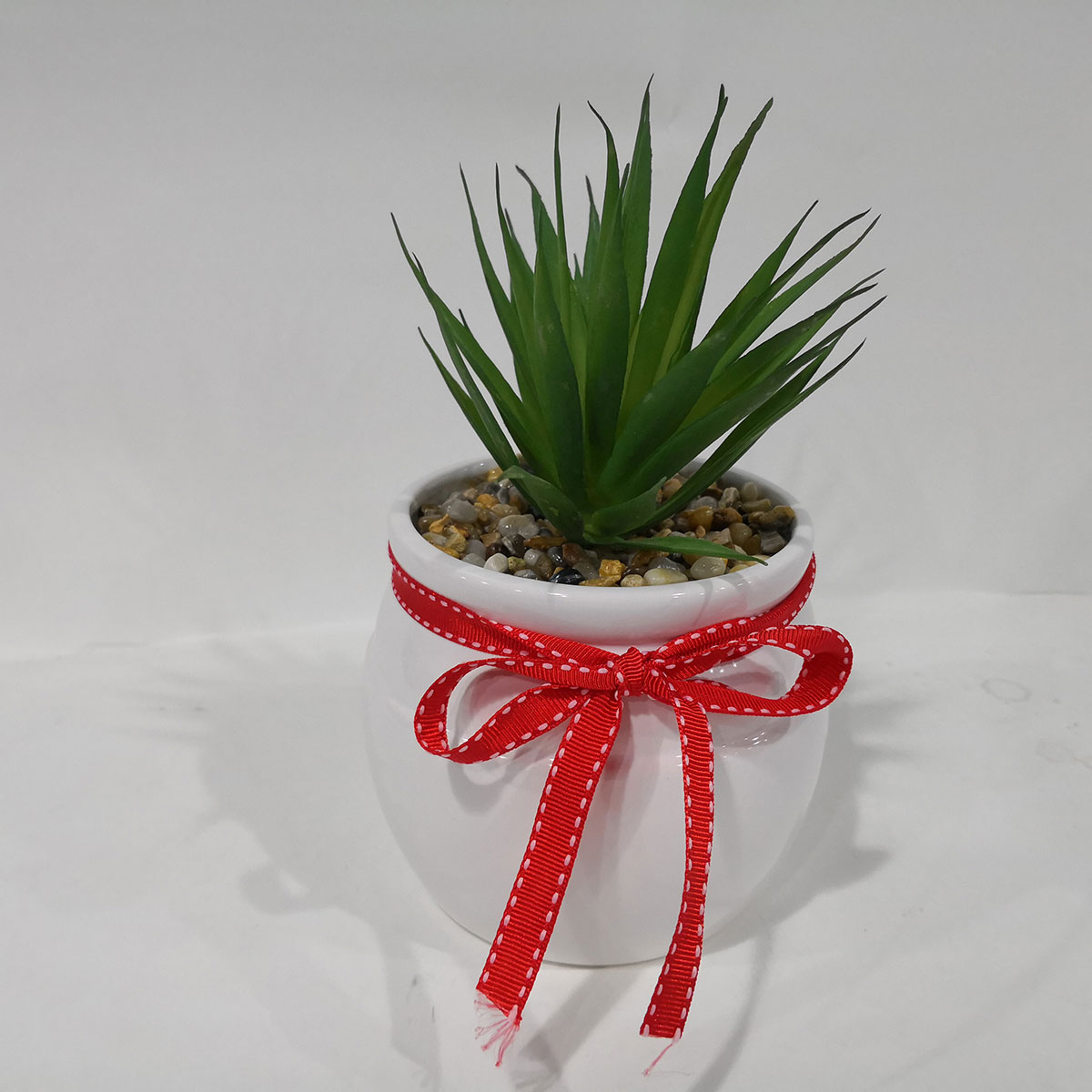 2019 trending ceramic succulent pots
