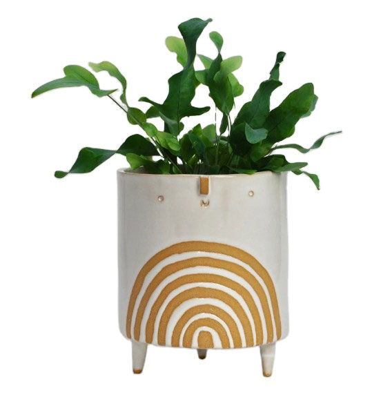 ceramic rainbow planter with stand