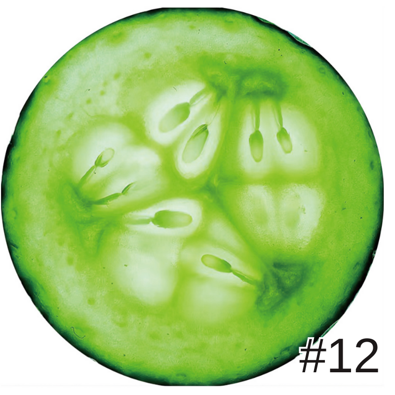 創意印花毛毯雙面捲餅毯墨西哥卷餅毯數碼印花披薩毯子法蘭絨午睡毯玉米餅雙面毛毯空調毯四季通用被子