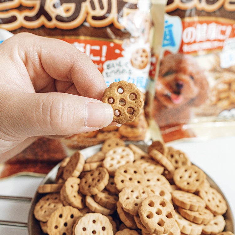 Sunrise 乳酸菌狗餅乾560g成犬幼犬磨牙寵物訓練獎勵零食比熊磨牙棒