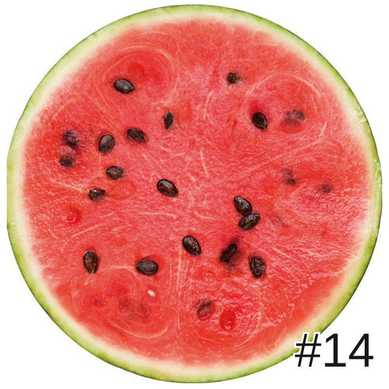 創意印花毛毯雙面捲餅毯墨西哥卷餅毯數碼印花披薩毯子法蘭絨午睡毯玉米餅雙面毛毯空調毯四季通用被子