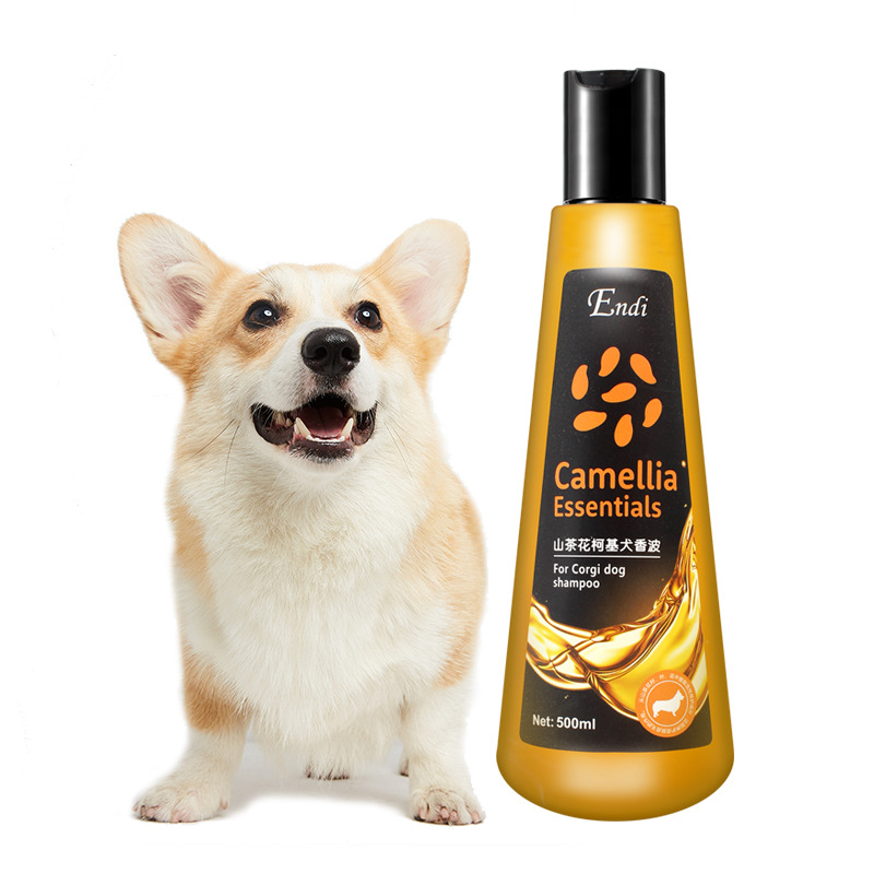 （3瓶起購）Endi 山茶花犬用香波500ml狗狗沐浴露柯基泰迪比熊沐浴液寵物洗澡用品