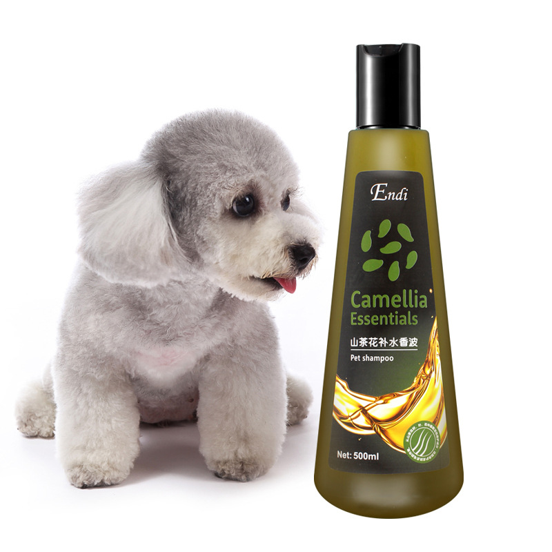 （3瓶起購）Endi 山茶花犬用香波500ml狗狗沐浴露柯基泰迪比熊沐浴液寵物洗澡用品
