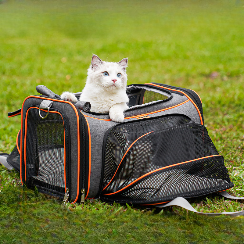 寵物旅行包貓狗外出便攜折疊寵物包透氣網布可拓展空間擴展包熒光條設計