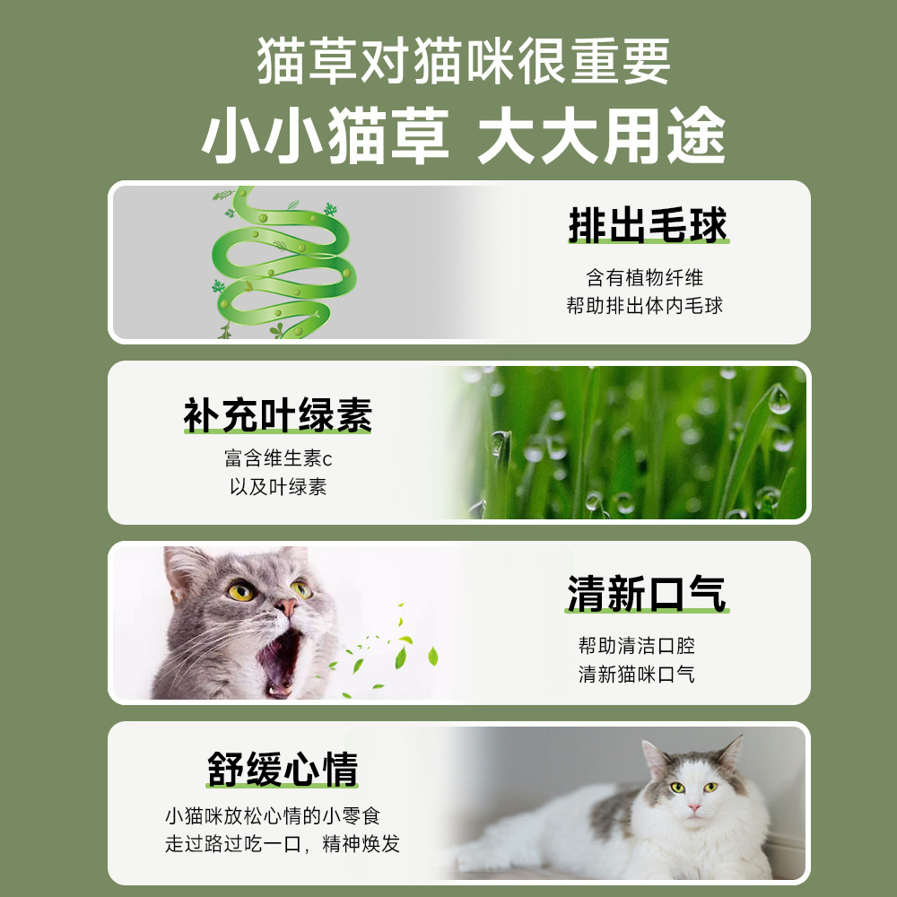 （6件起購）懶人泡面貓草mini貓草即食麵懶人種植盒可拌貓糧寵物用品貓咪促消化吐毛球清潔口腔貓零食DIY貓薄荷貓草罐頭