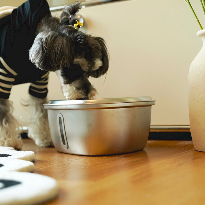 不銹鋼寵物飲水機3L全自動水迴圈過濾喂水器貓咪飲水器