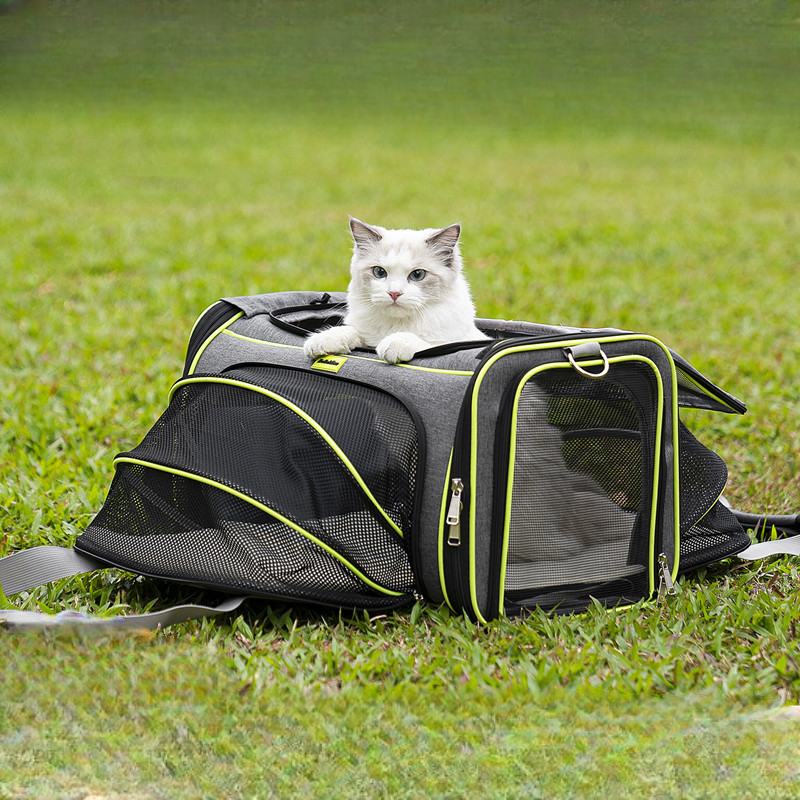 寵物旅行包貓狗外出便攜折疊寵物包透氣網布可拓展空間擴展包熒光條設計