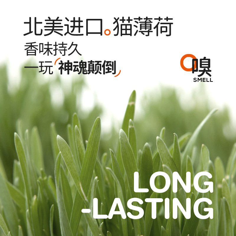 FOFOS兩只福狸 瘋狂企鵝/貓頭鷹 智能電動貓玩具寵物用品