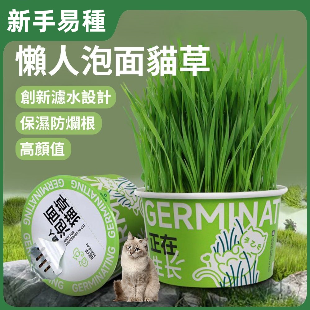 （6件起購）懶人泡面貓草mini貓草即食麵懶人種植盒可拌貓糧寵物用品貓咪促消化吐毛球清潔口腔貓零食DIY貓薄荷貓草罐頭