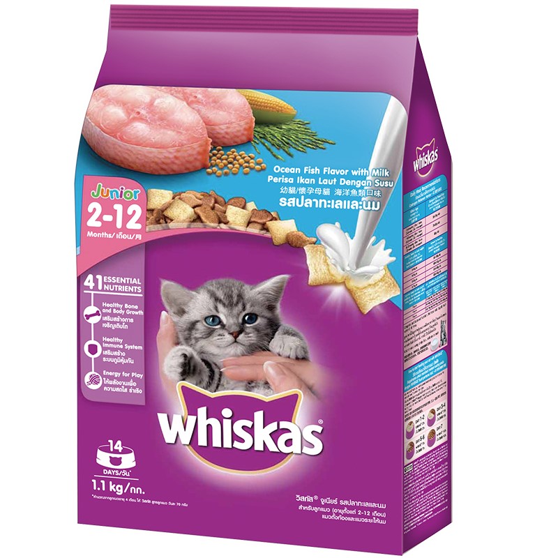 【澳門發貨】（原箱6包）whiskas偉嘉幼貓貓乾糧1.1kg强韌肌肉鞏固骨骼牙齒保健視力增强免疫力消化吸收亮澤毛皮心臟健康幼貓糧