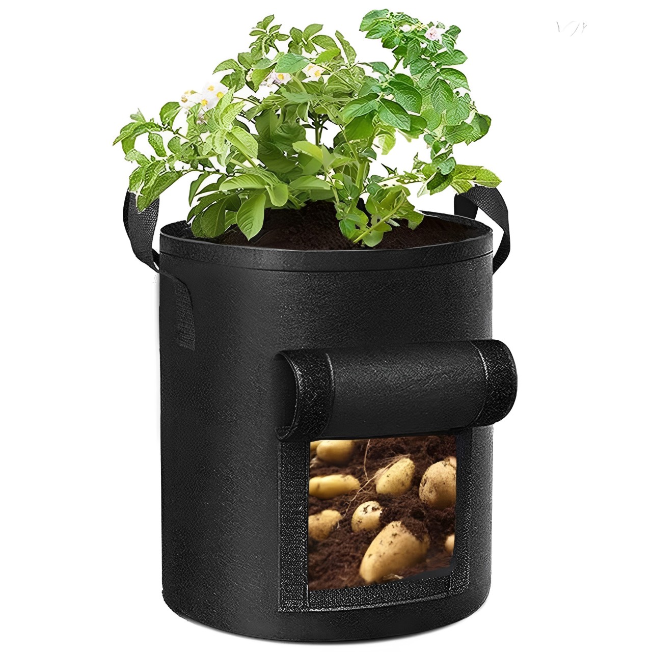 土豆種植袋植物生長袋番茄馬鈴薯仔草莓無紡布毛氈植物袋