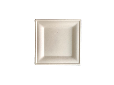 8''x8'' Square Plate-P010