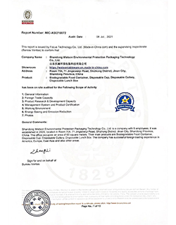 BV Certificate