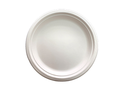 10'' Round Plate-P004