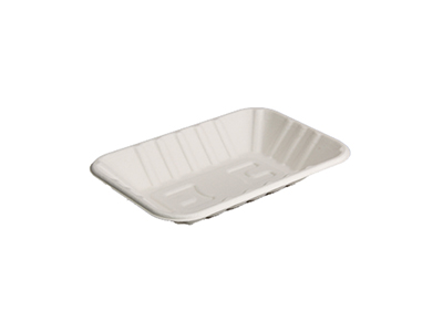 R-170 Tray