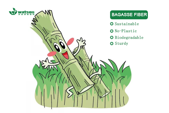 Why we choose bagasse as the raw material?