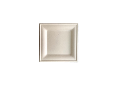 6''x6'' Square Plate-P009