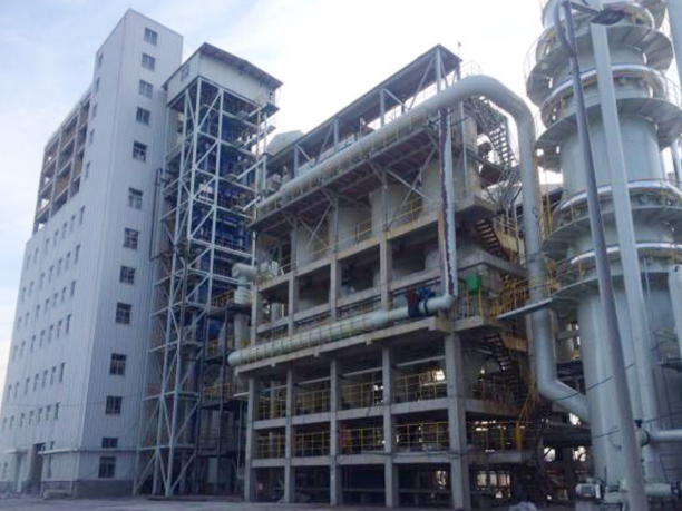 内蒙古伊品生物科技有限公司