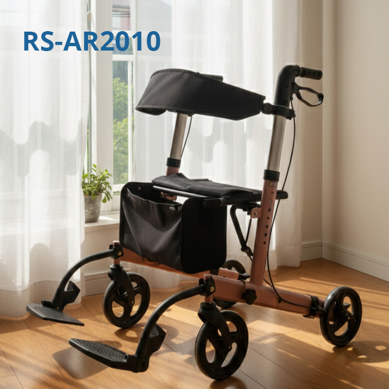 RS-AR2010